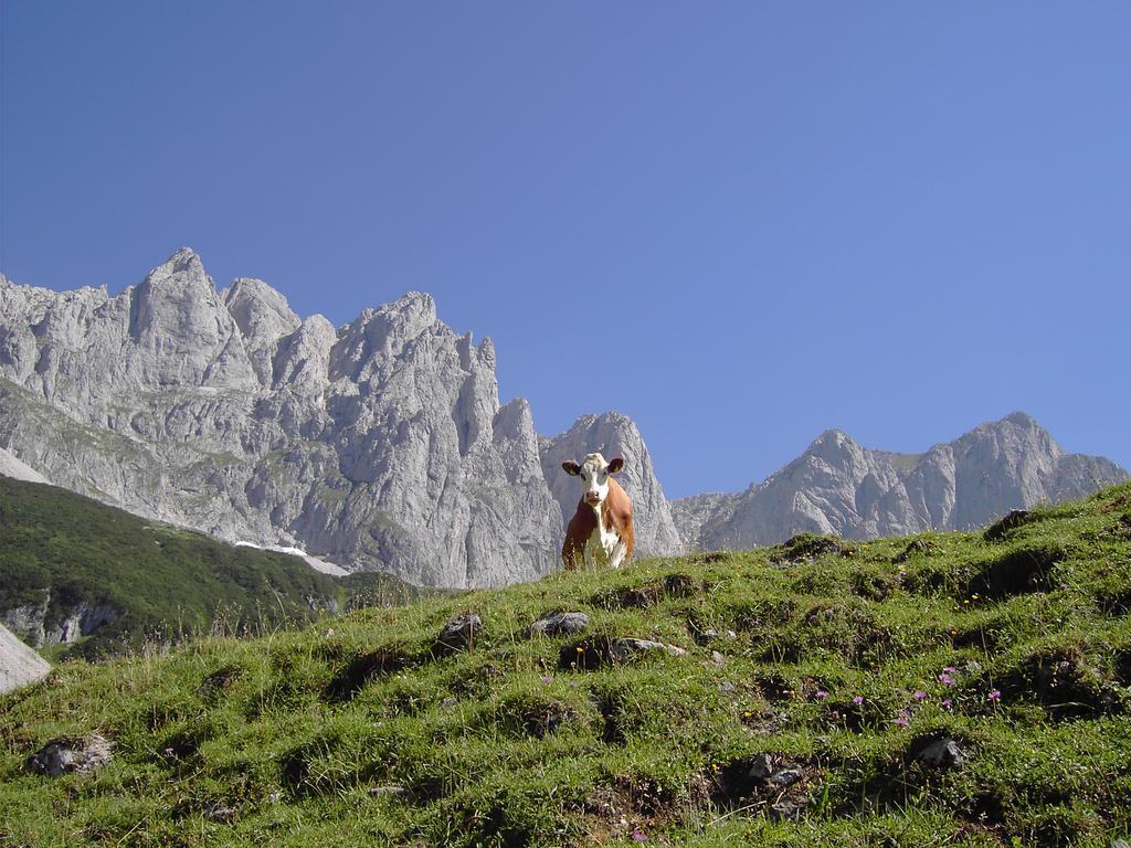 Alpenappartement Europa 蒂罗的圣约翰 外观 照片